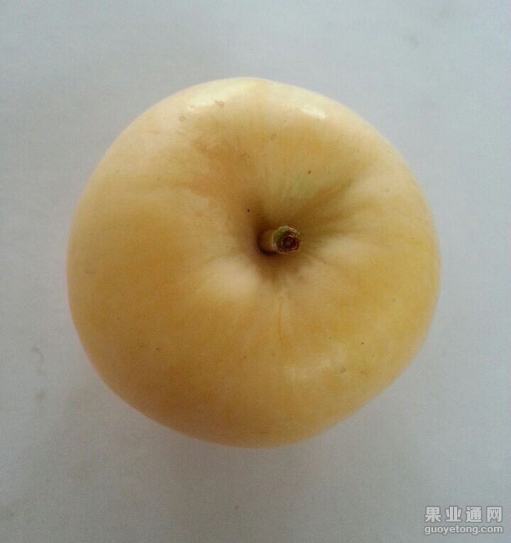 QQ图片20140818072320.jpg