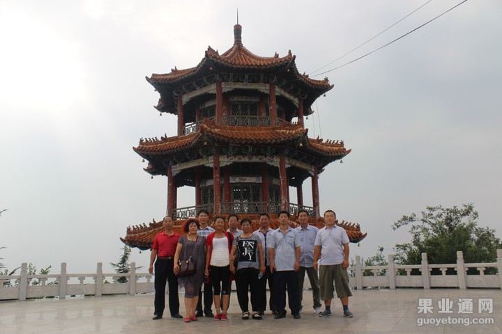 IMG_7984.JPG
