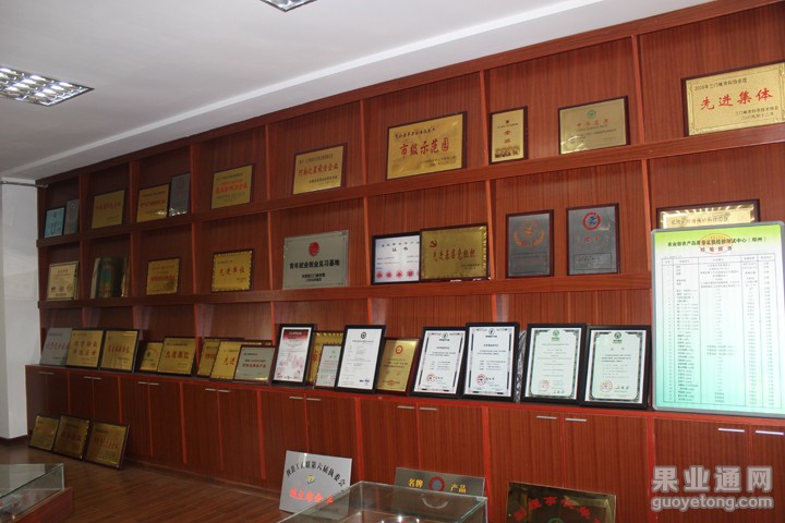 IMG_7995.JPG