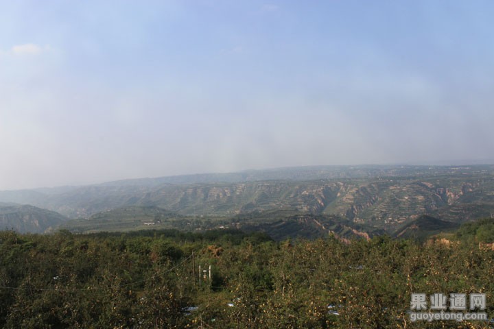IMG_8306.JPG