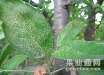 t01a3664ba1b0e3a296.jpg