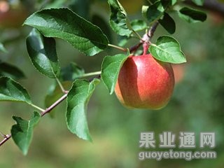 t01d42820b4341e9d25.jpg