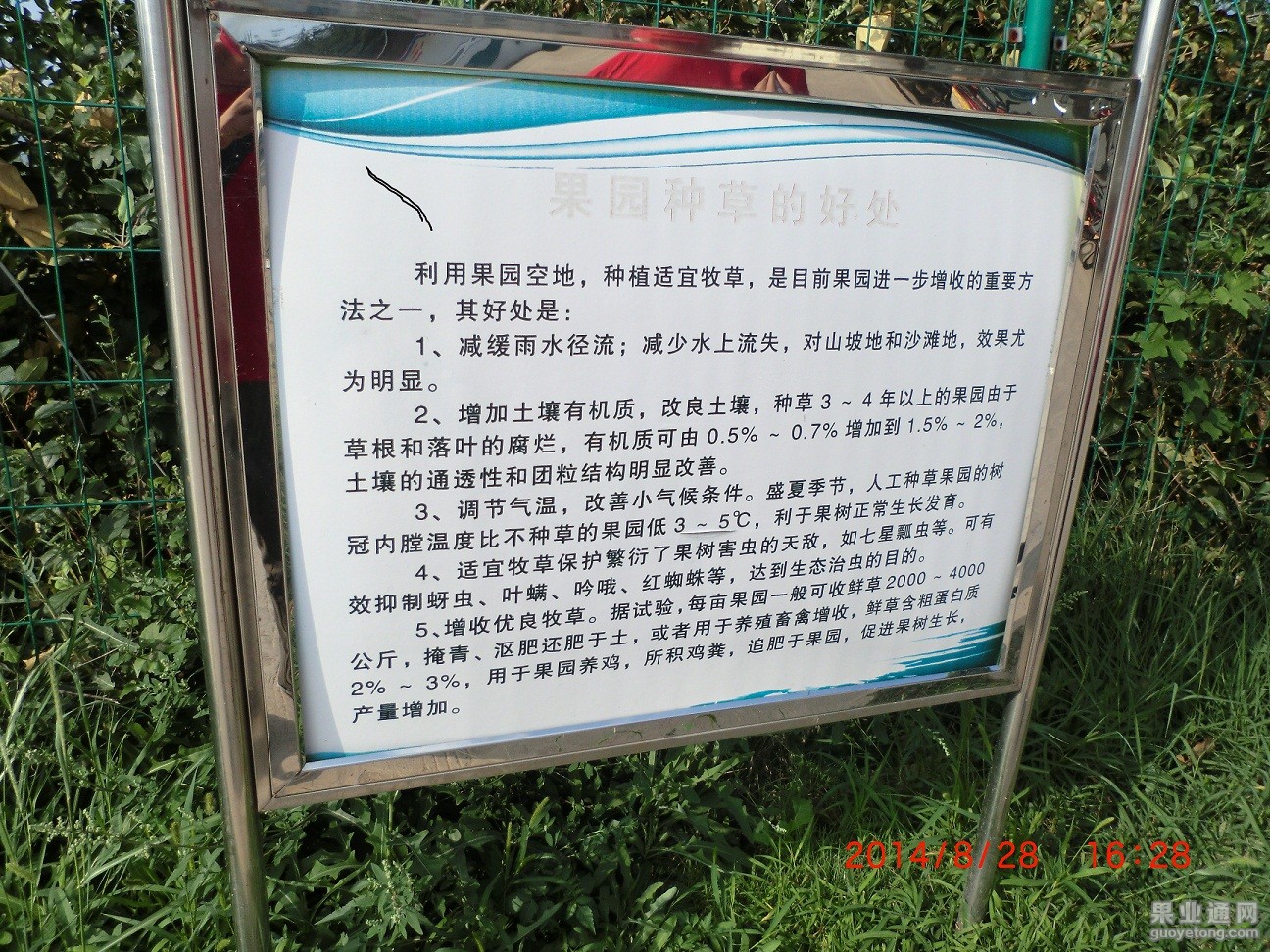 CIMG0853.JPG
