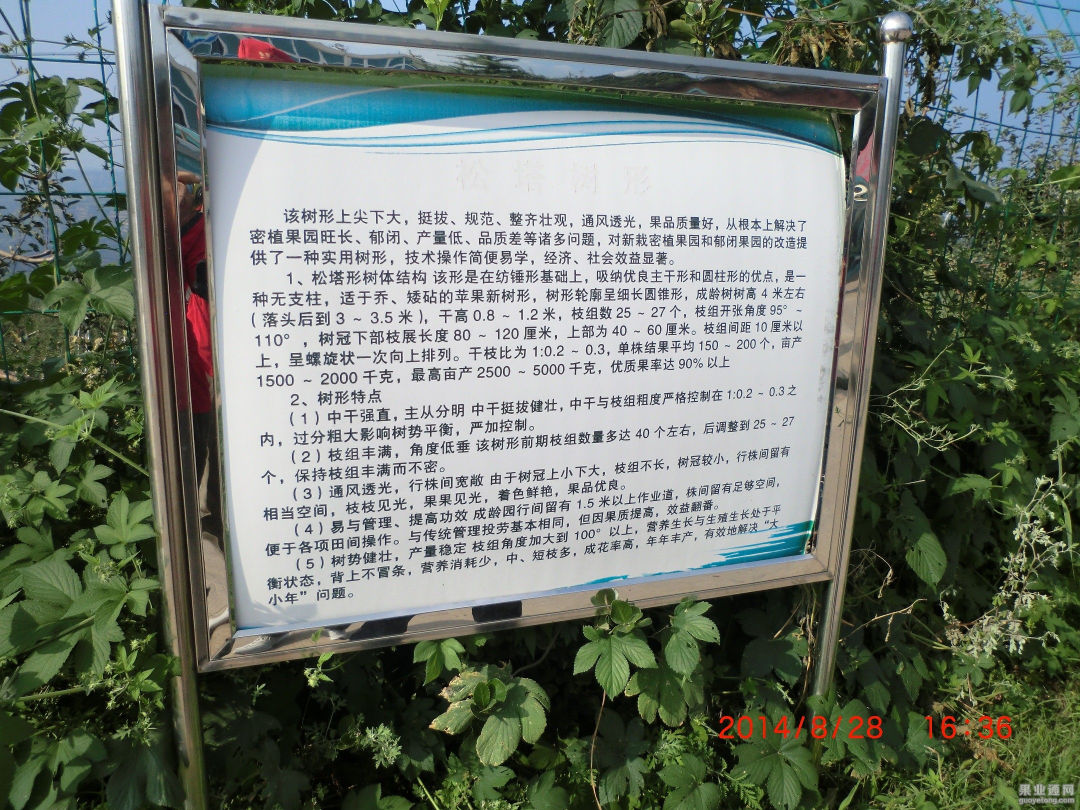 CIMG0855.JPG