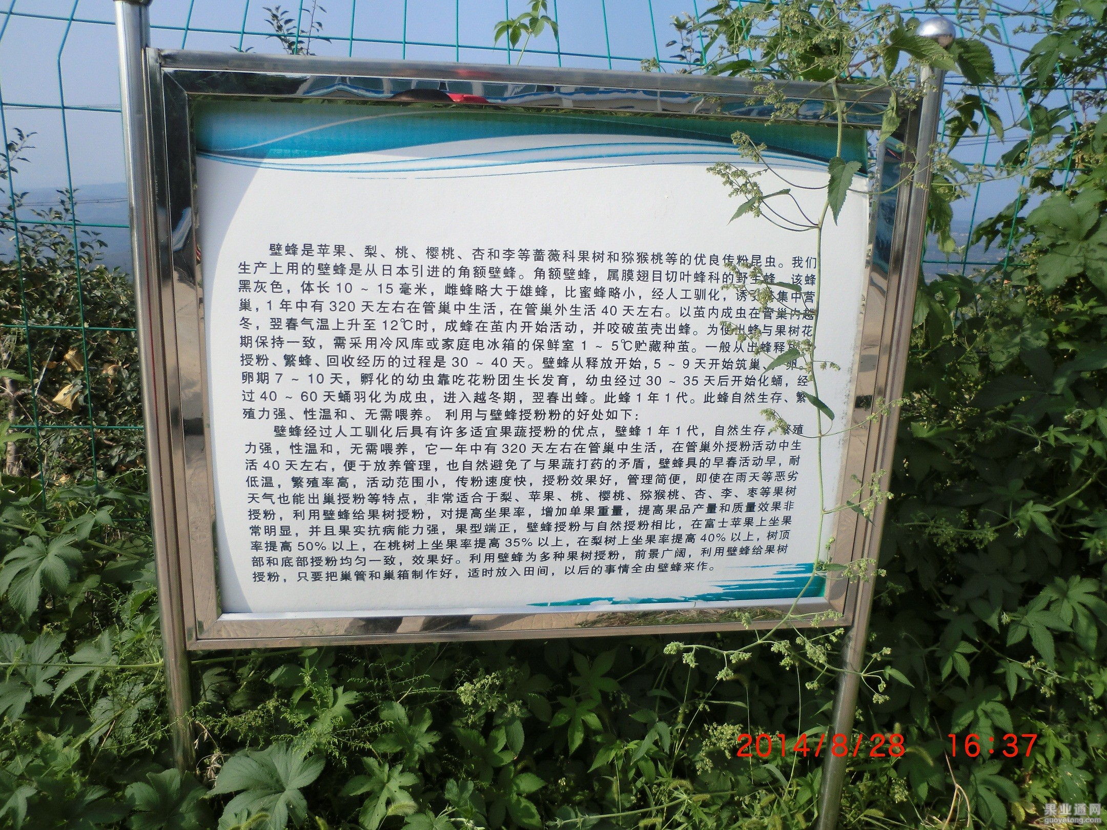 CIMG0856.JPG