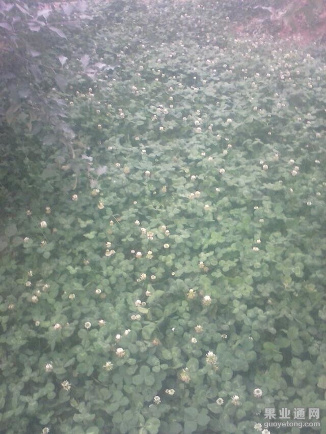QQ图片20140905155344.jpg