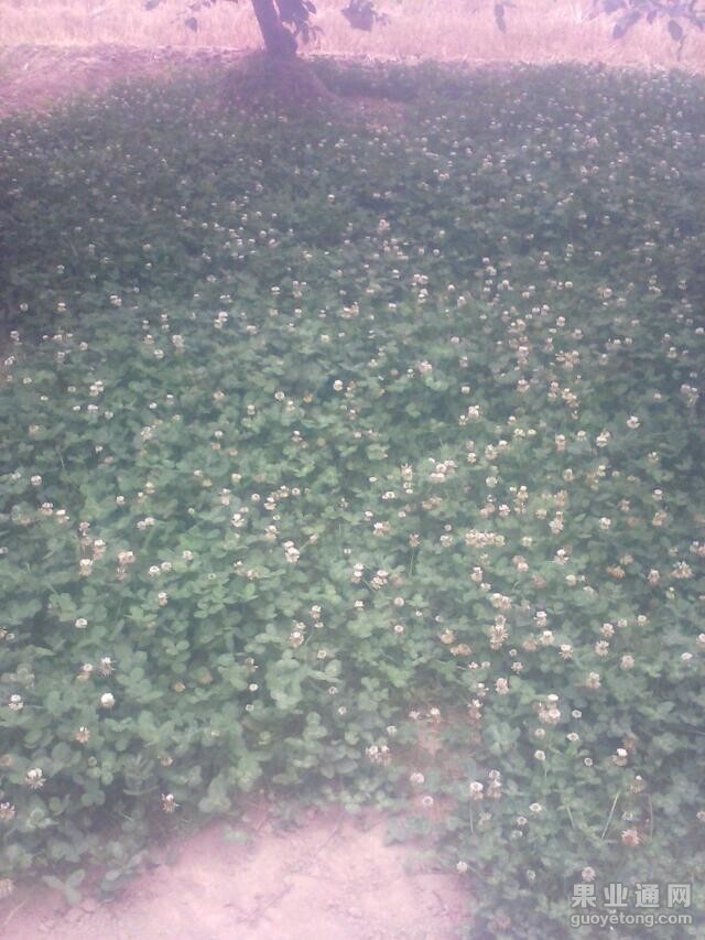 QQ图片20140905155353.jpg
