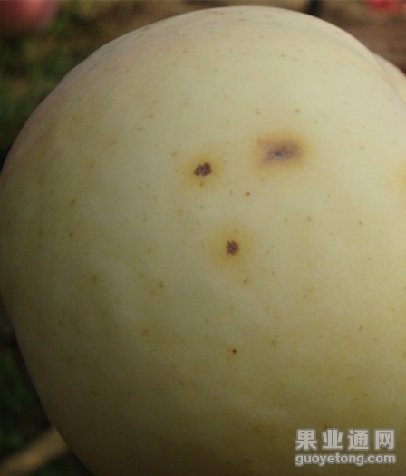 DSC01886_副本.jpg