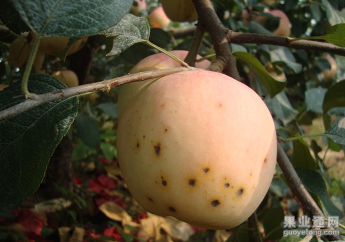 DSC01887_副本.jpg