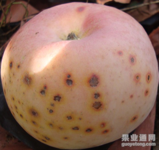 DSC01895_副本.jpg