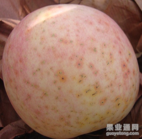 DSC01896_副本.jpg