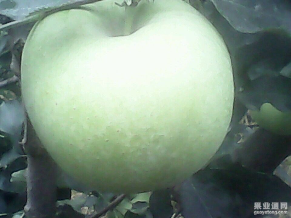 QQ图片20140916130005.jpg