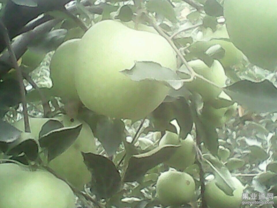 QQ图片20140916130031.jpg