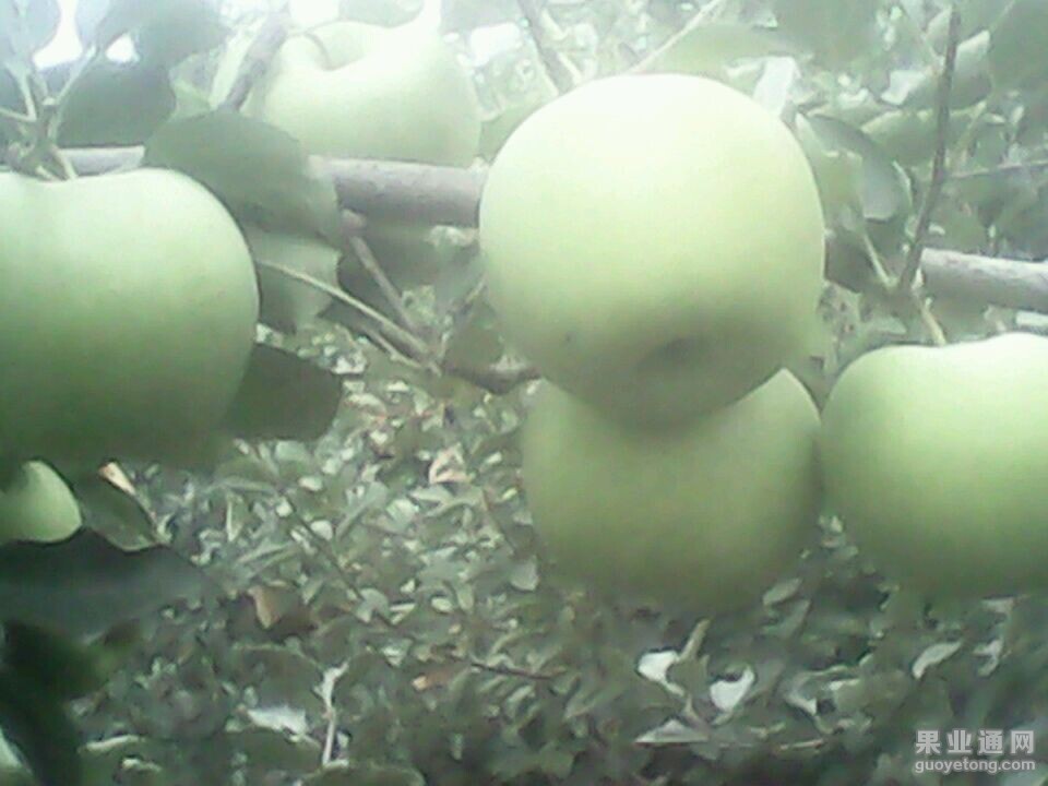 QQ图片20140916130134.jpg