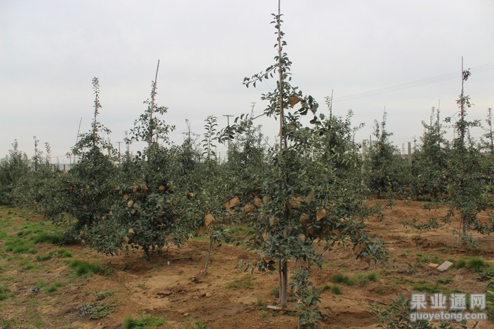 IMG_8734.JPG