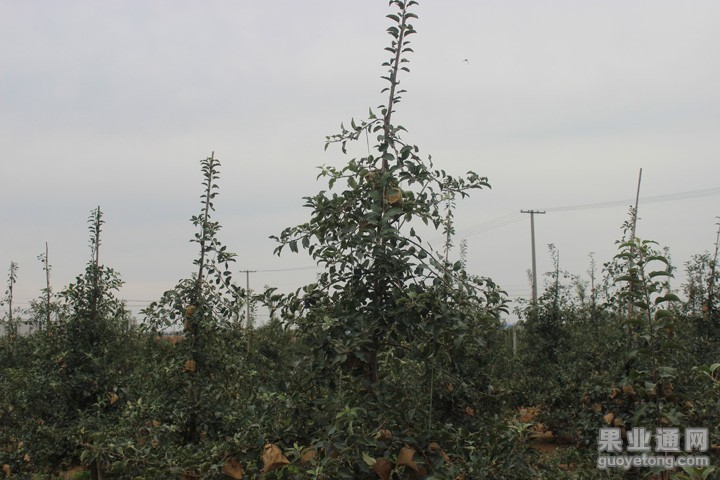 IMG_8736.JPG
