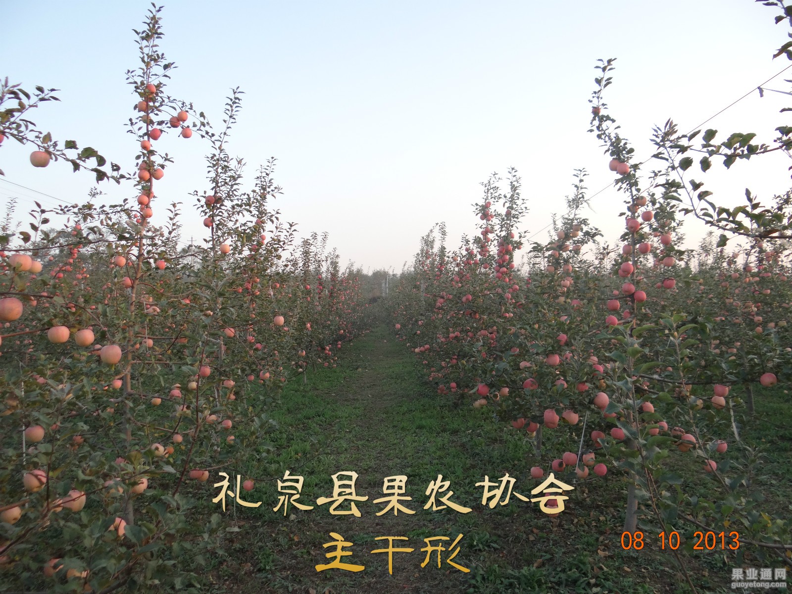DSC00486_meitu_4.jpg