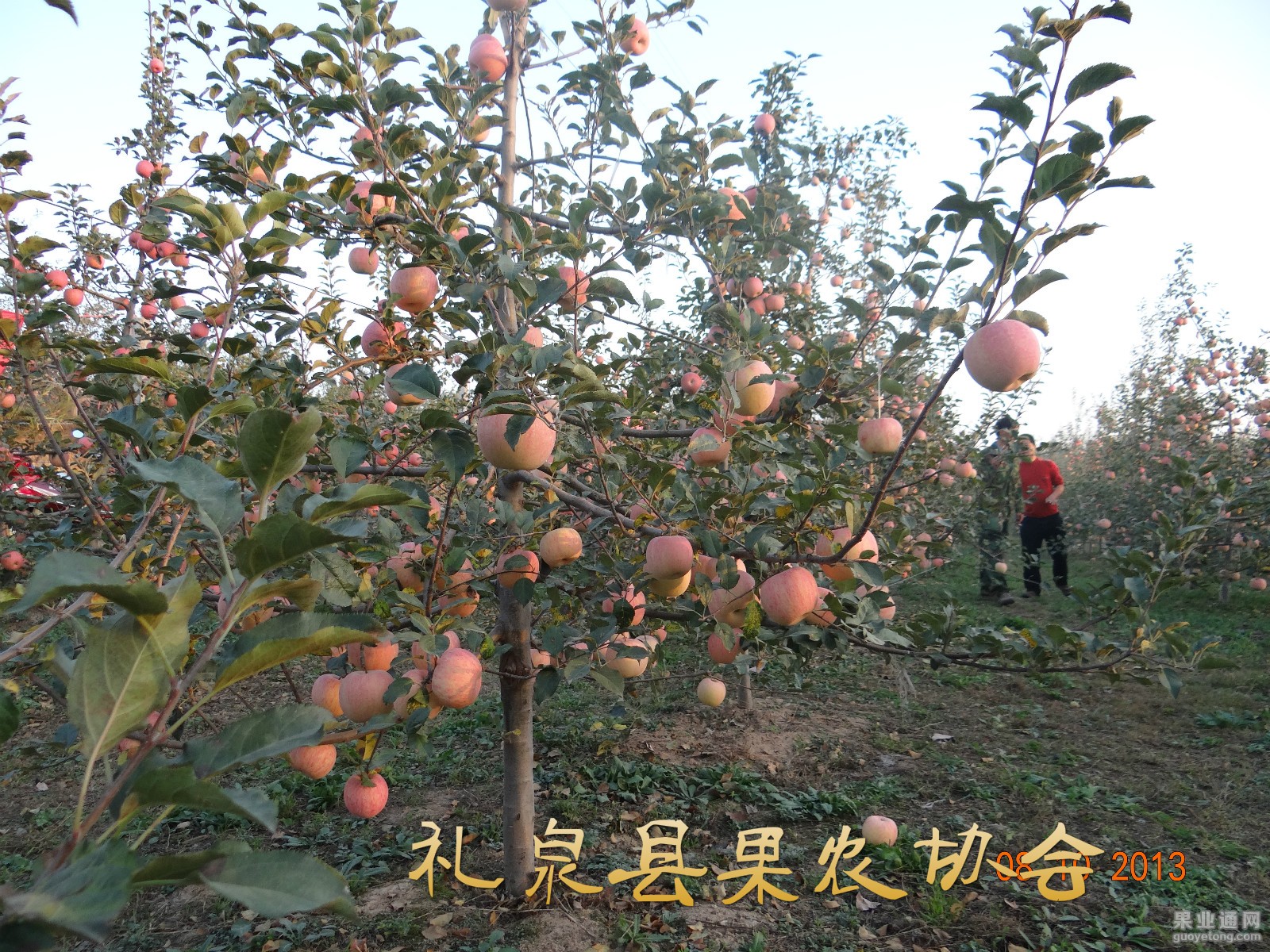 DSC00477_meitu_8.jpg