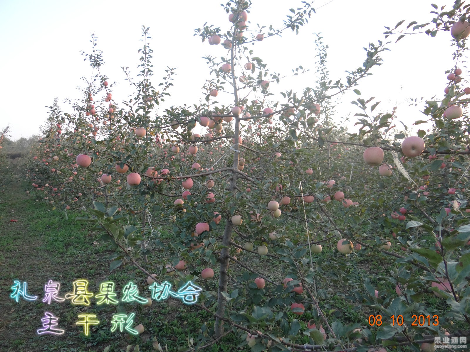 DSC00479_meitu_7.jpg