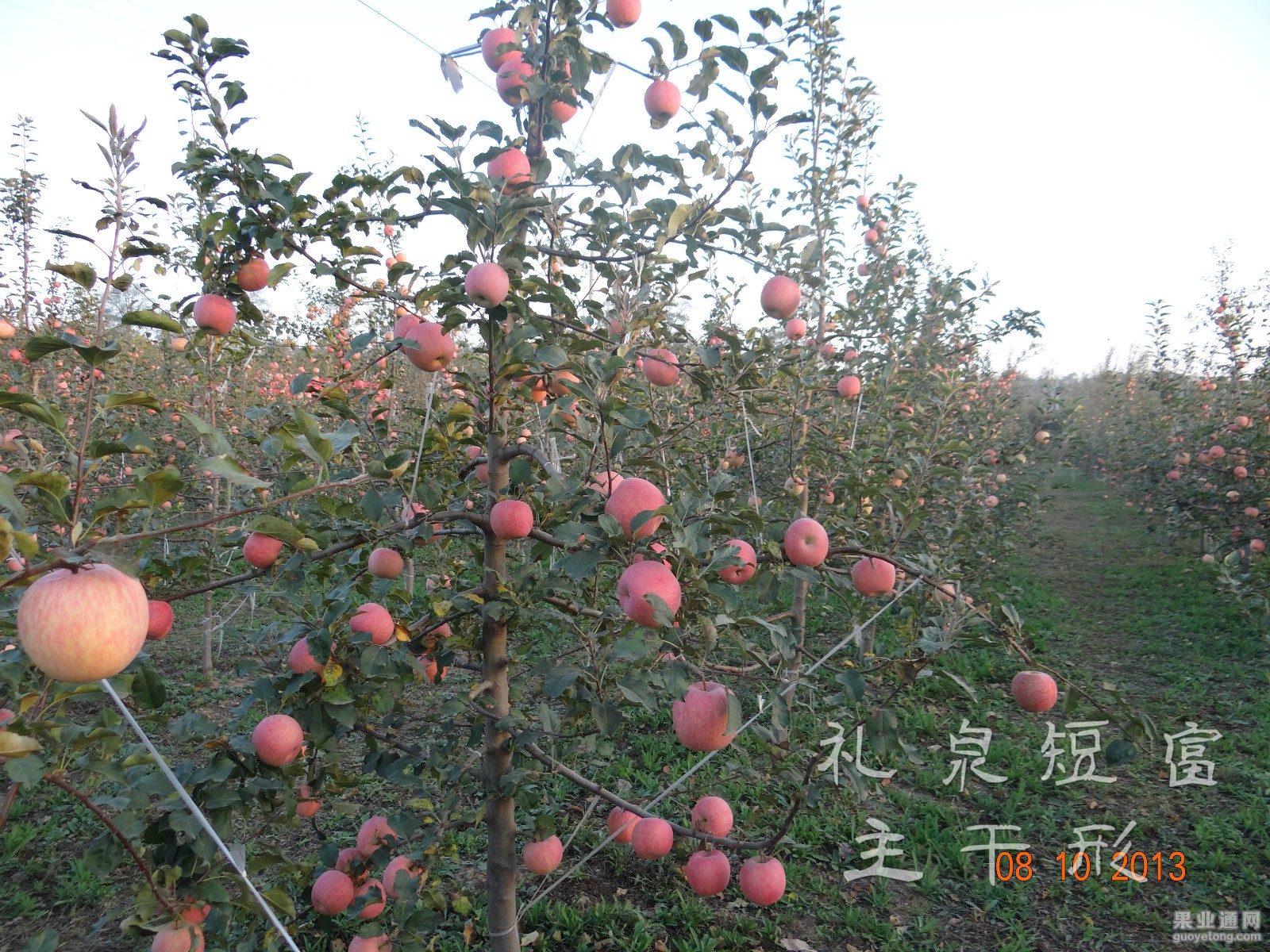 DSC00482_meitu_9.jpg