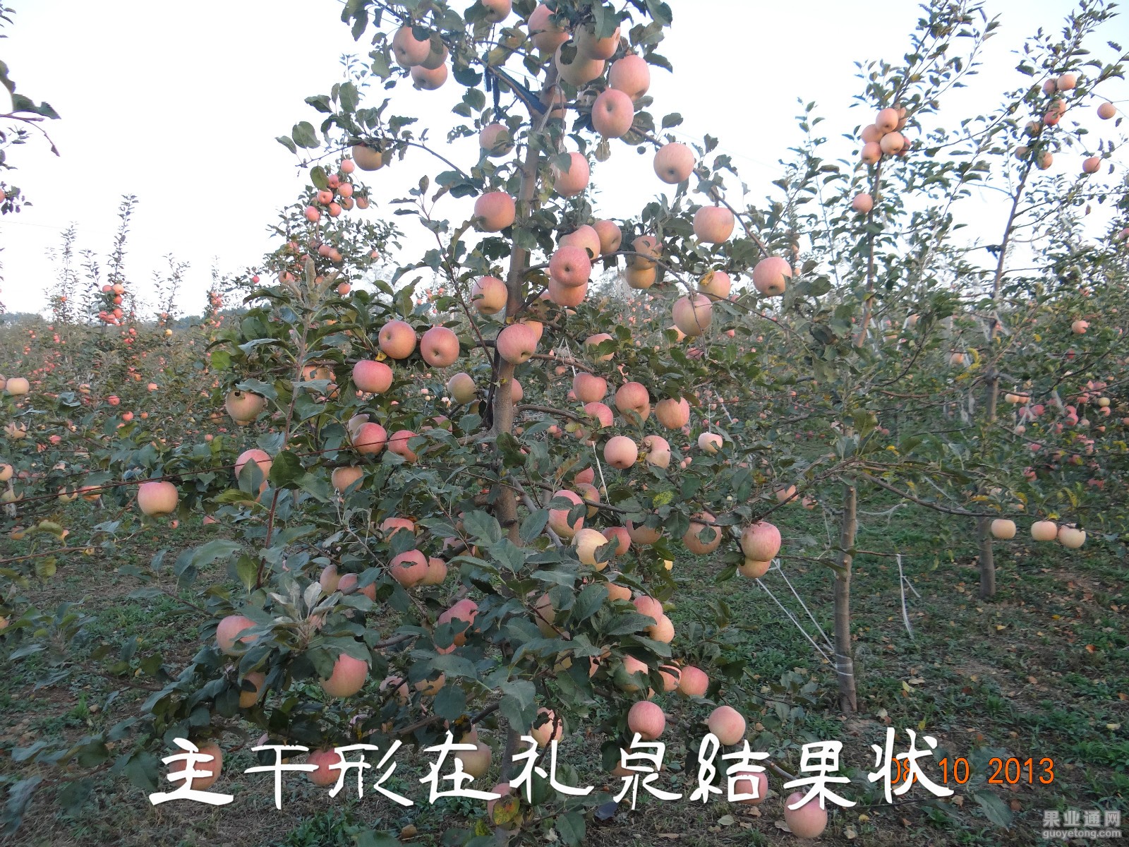 DSC00489_meitu_6.jpg