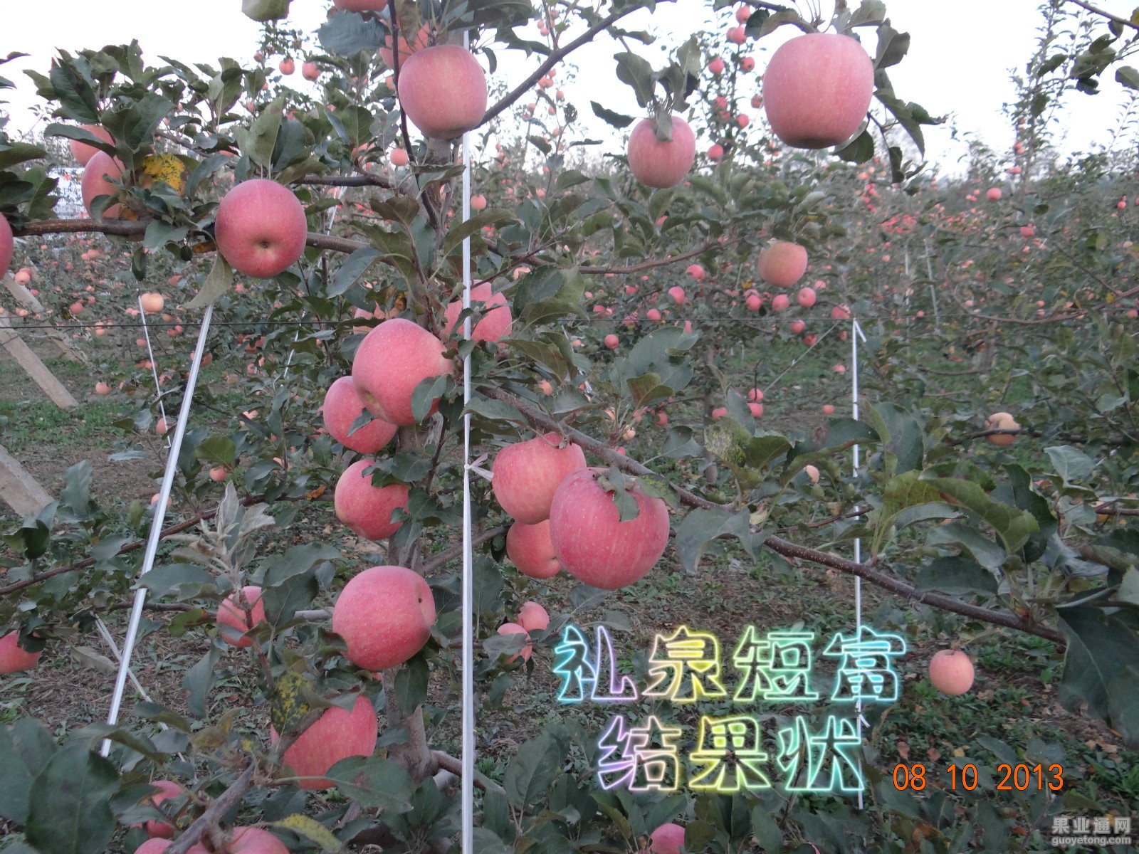 DSC00503_meitu_3.jpg