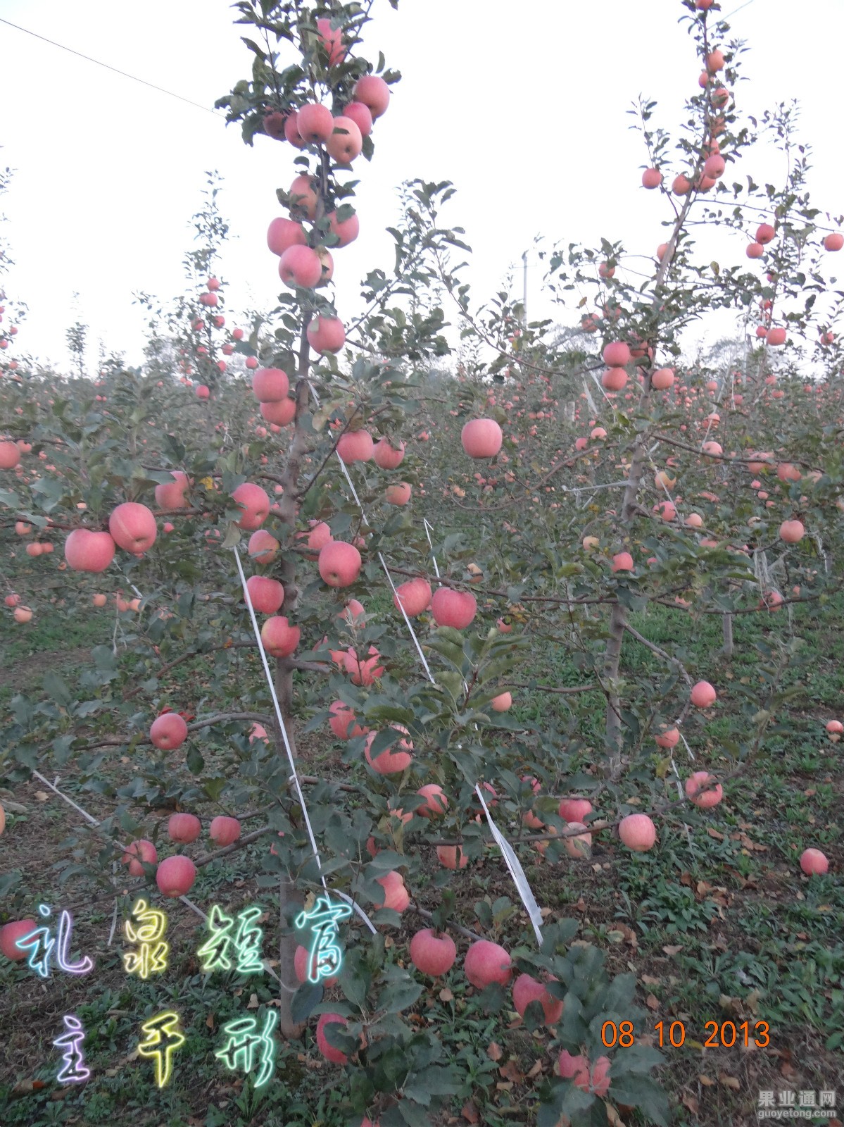 DSC00504_meitu_2.jpg