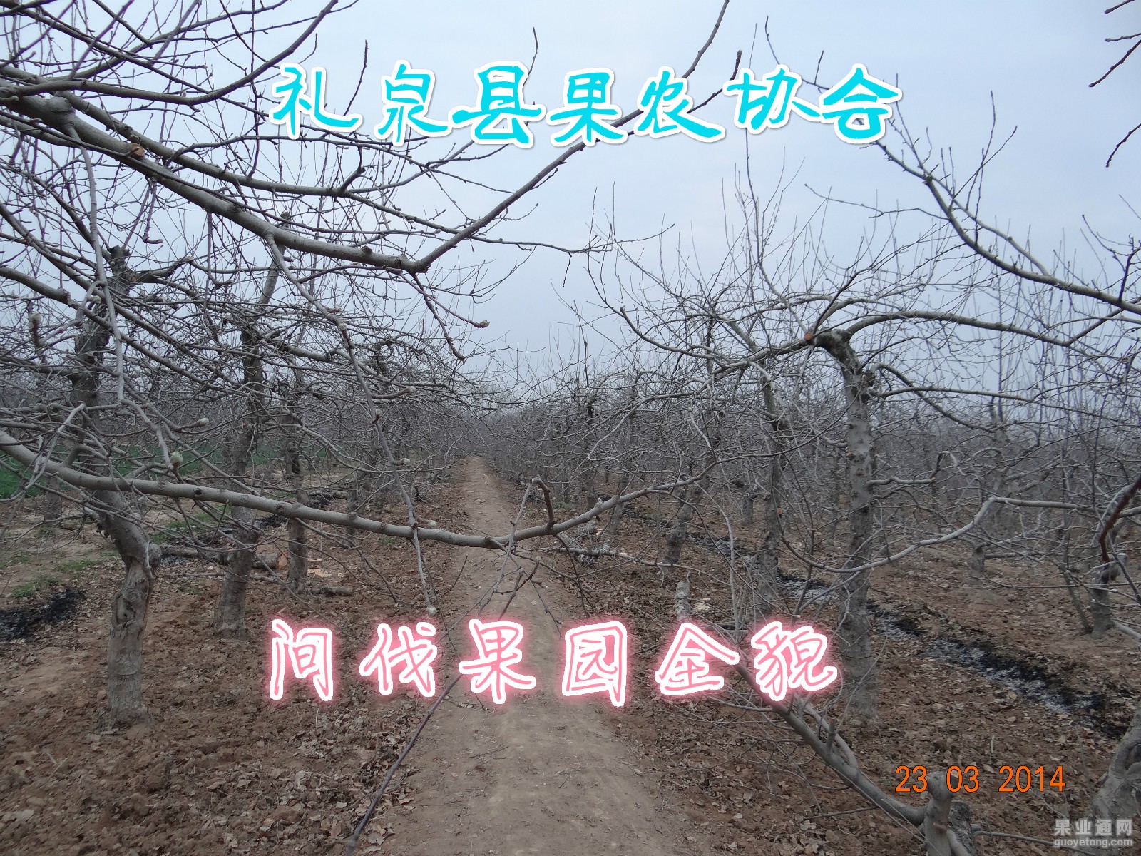 DSC01240.JPG