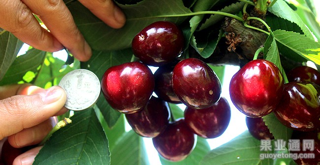 1-14040G41113127_3.jpg