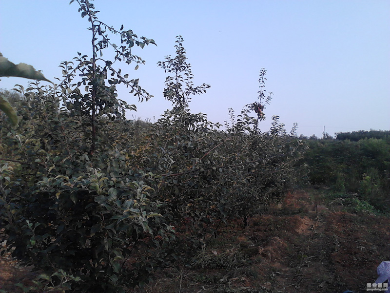 IMG443.jpg