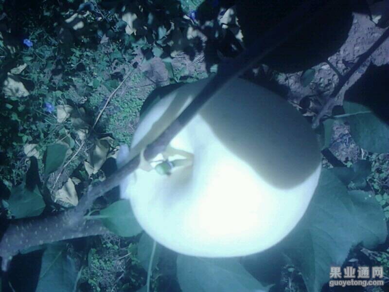 QQ图片20140925203033.jpg