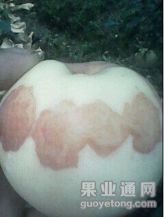 QQ图片20140928184043.jpg