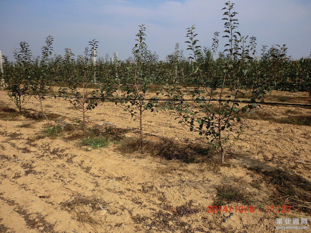 CIMG0972.JPG