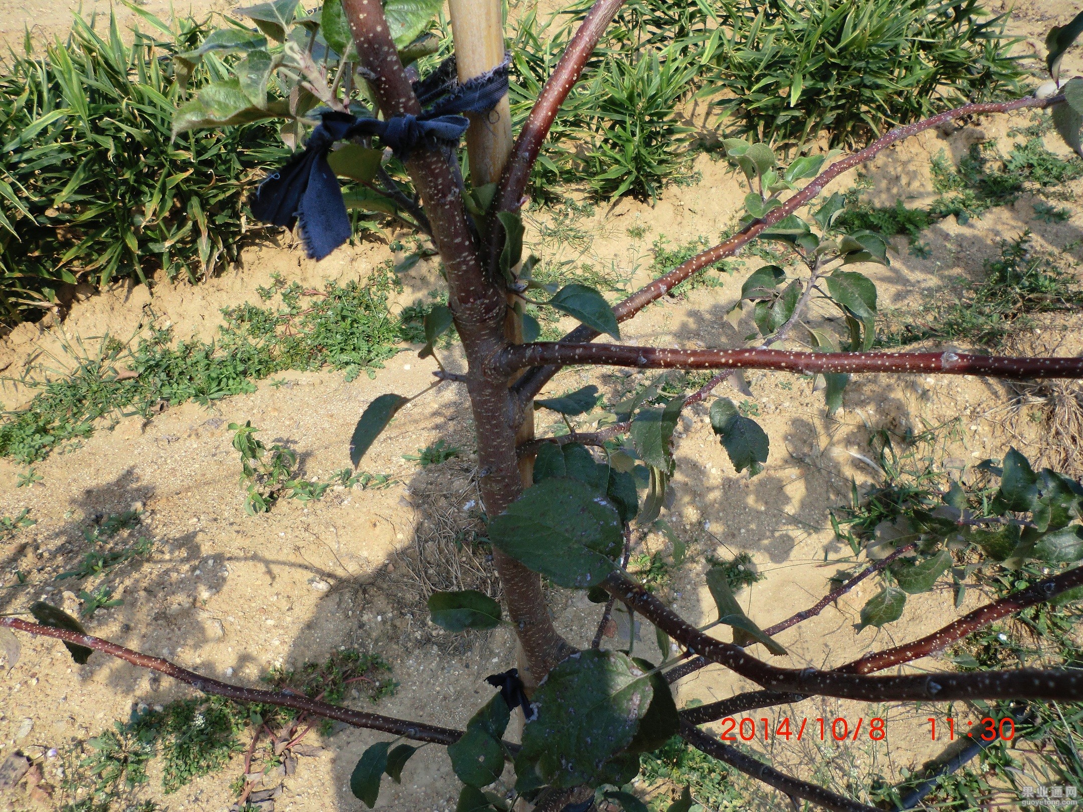 CIMG0973.JPG