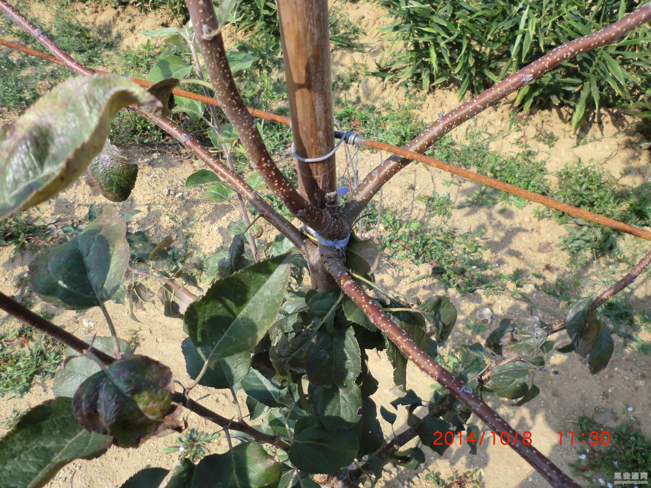 CIMG0974.JPG