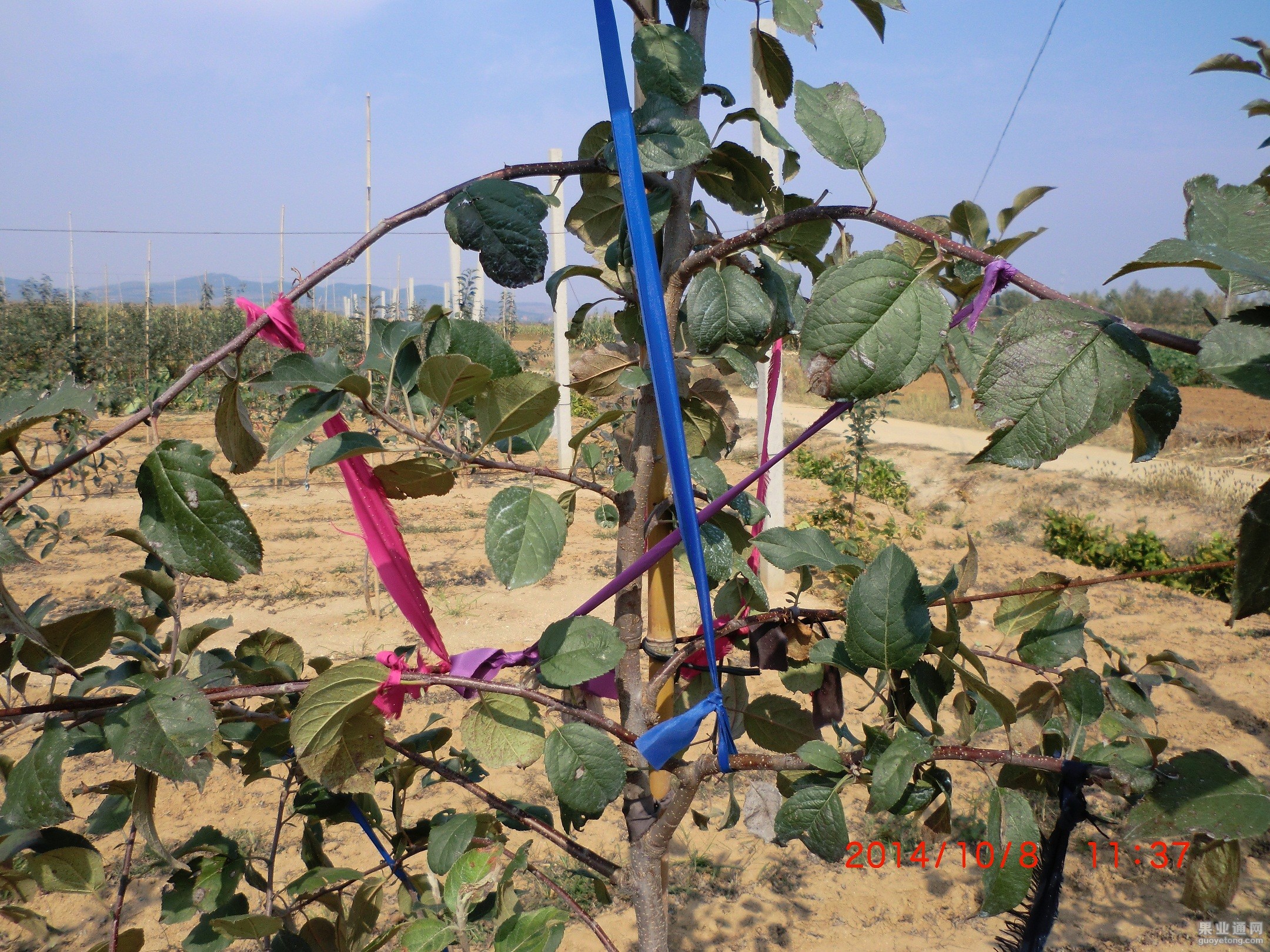 CIMG0977.JPG