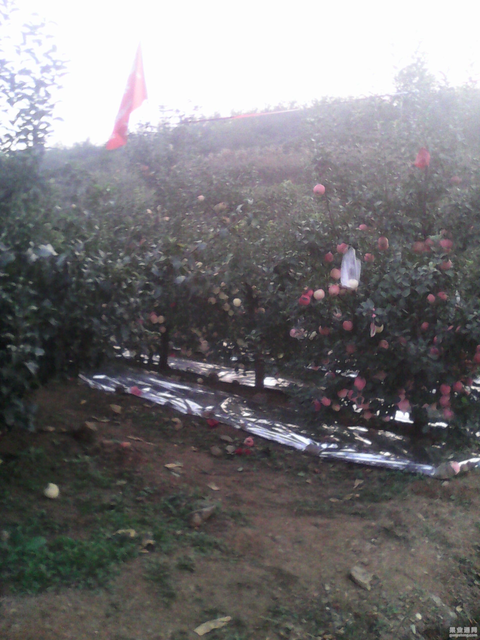 IMG_20130612_123509.jpg