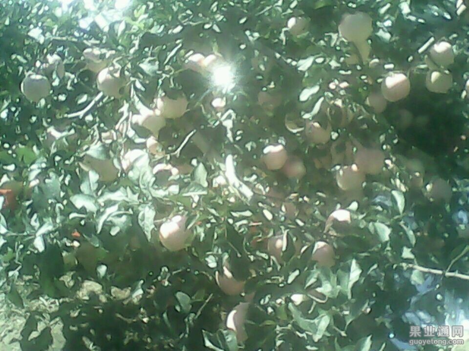 QQ图片20141013163612.jpg