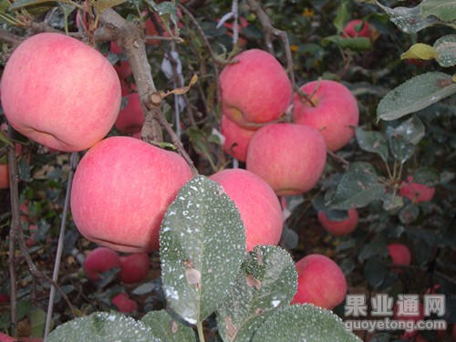 DSC02068_副本.jpg