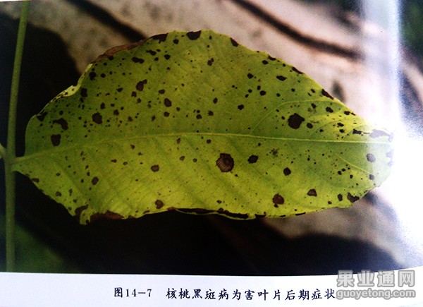 IMG_20141017_143301.jpg