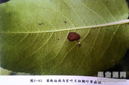 IMG_20141018_133743.jpg
