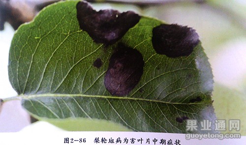 IMG_20141018_134147.jpg