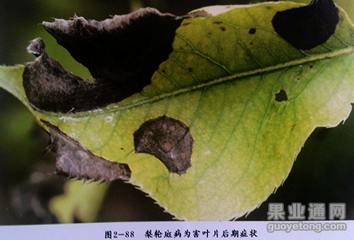 IMG_20141018_134206.jpg