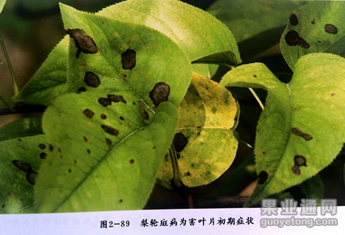 IMG_20141018_134217.jpg