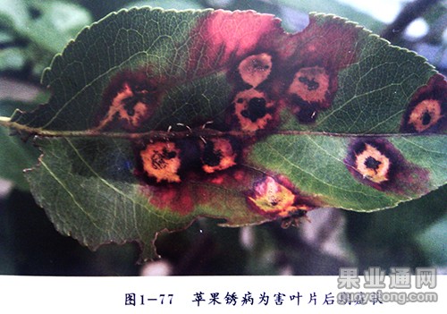 IMG_20141022_102205.jpg