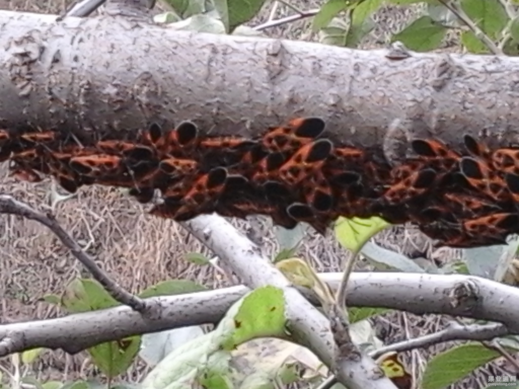 20141026_120652.jpg