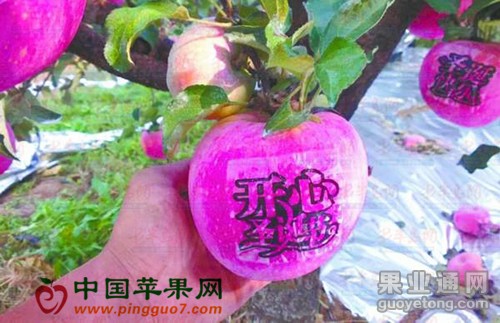2014102808591675.jpg