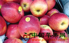 2014110414265130.jpg