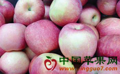 2014110414273272.jpg