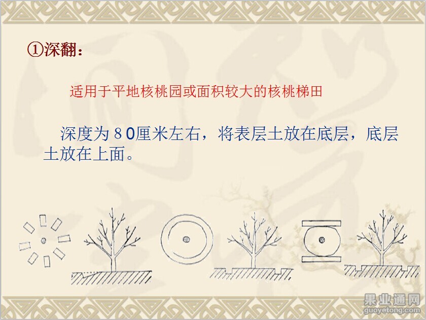 QQ图片20141116085441.jpg